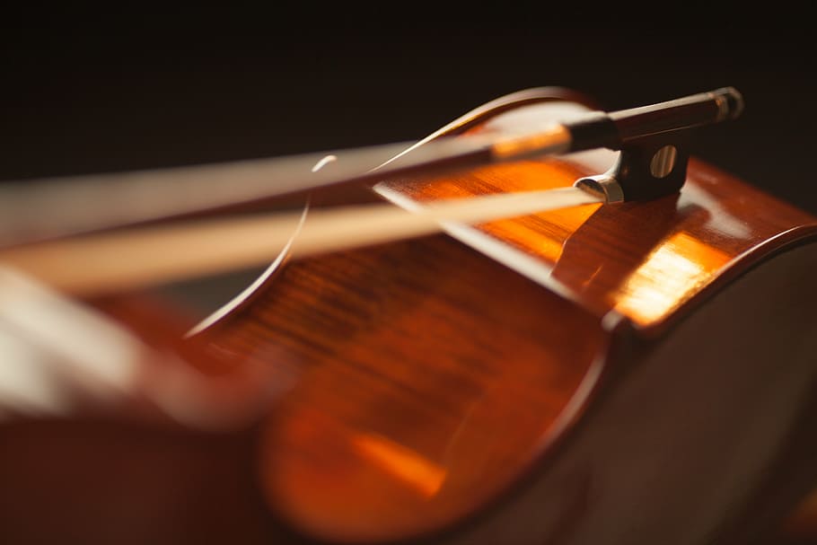 bow, bowed instrument, bowed stringed instrument, classic, classical music HD wallpaper