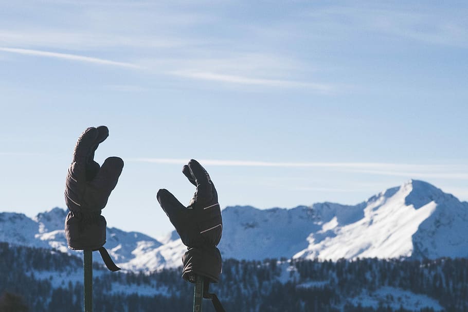two gloves on stick, closed-up photo of pair of brown gloves with forest and mountain background HD wallpaper