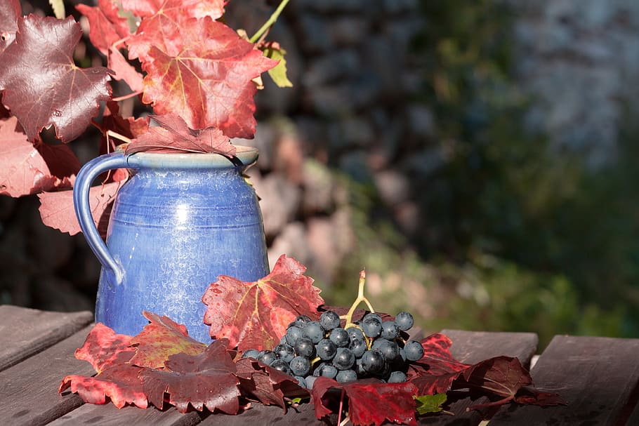 bokeh shot of blue ceramic pitcher and grapes, wine, leaf, wine harvest HD wallpaper