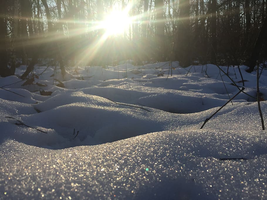 winter, snow, sun, cold temperature, sunlight, nature, sunbeam HD wallpaper