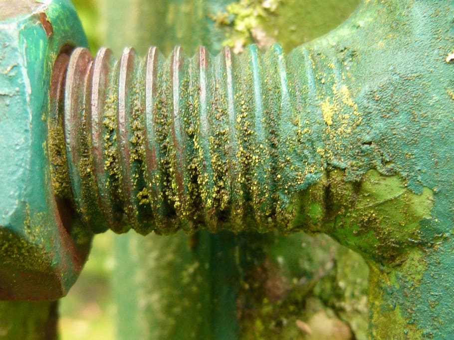 thread, steel, moss, weathered, old, screw, rusty, metal, iron - Metal HD wallpaper