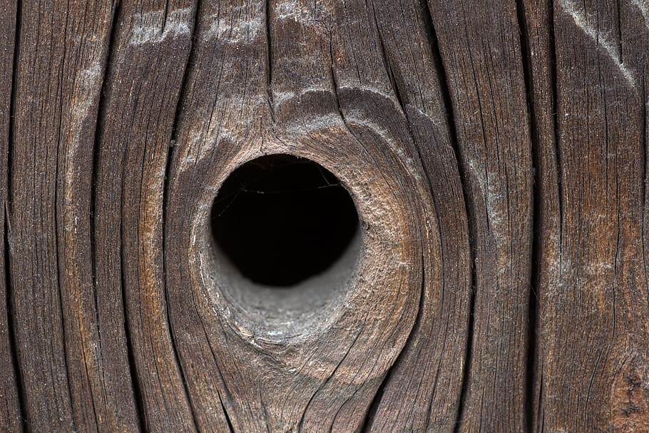 closeup photo of brown wooden board, background, old, structure HD wallpaper