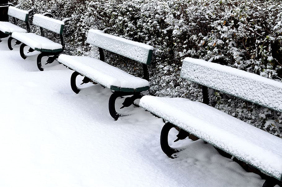 bush, snow, bench, background, seasons, black, white, winter HD wallpaper