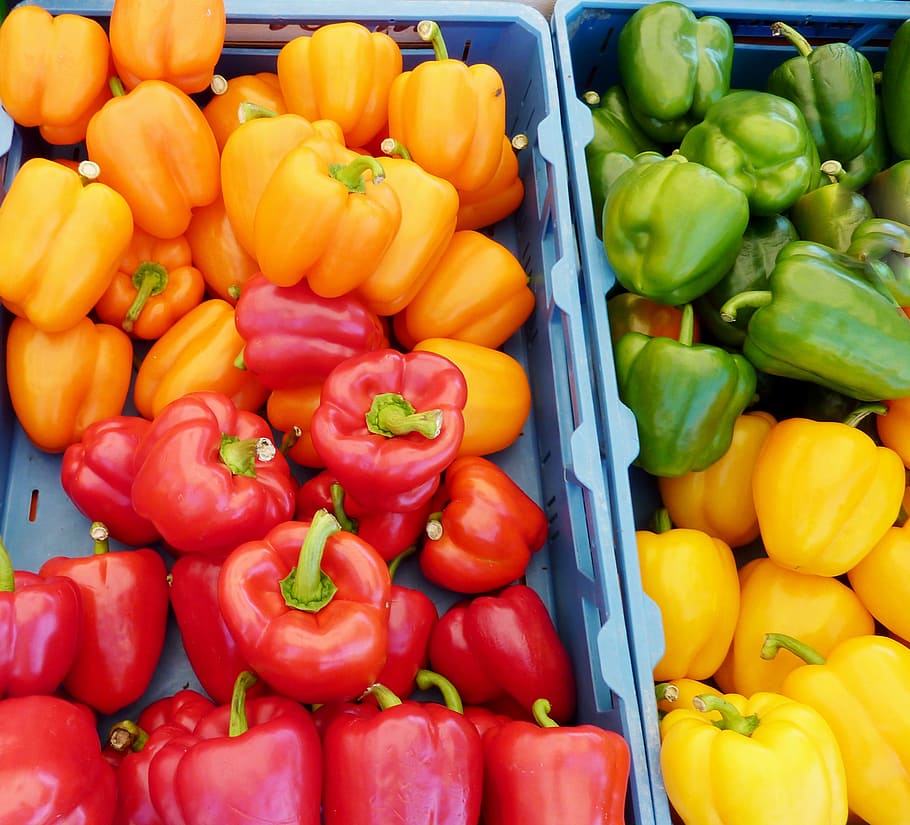 paprika, yellow, red pepper, green peppers, sweet peppers, vegetables, HD wallpaper