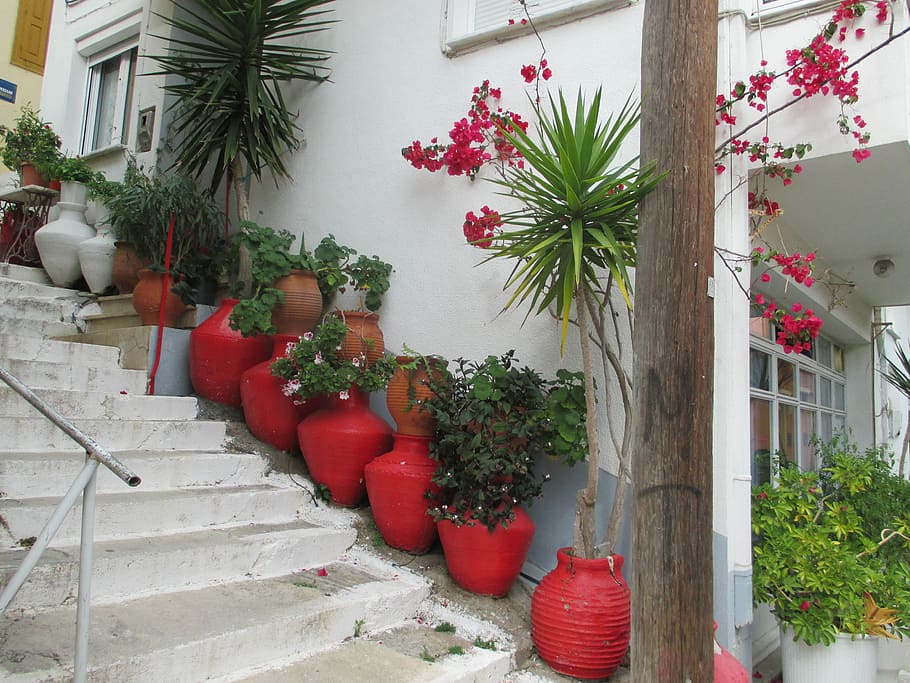 Streets, Stairs, Vase, Plant, Flowers, lesbos, red, christmas, HD wallpaper