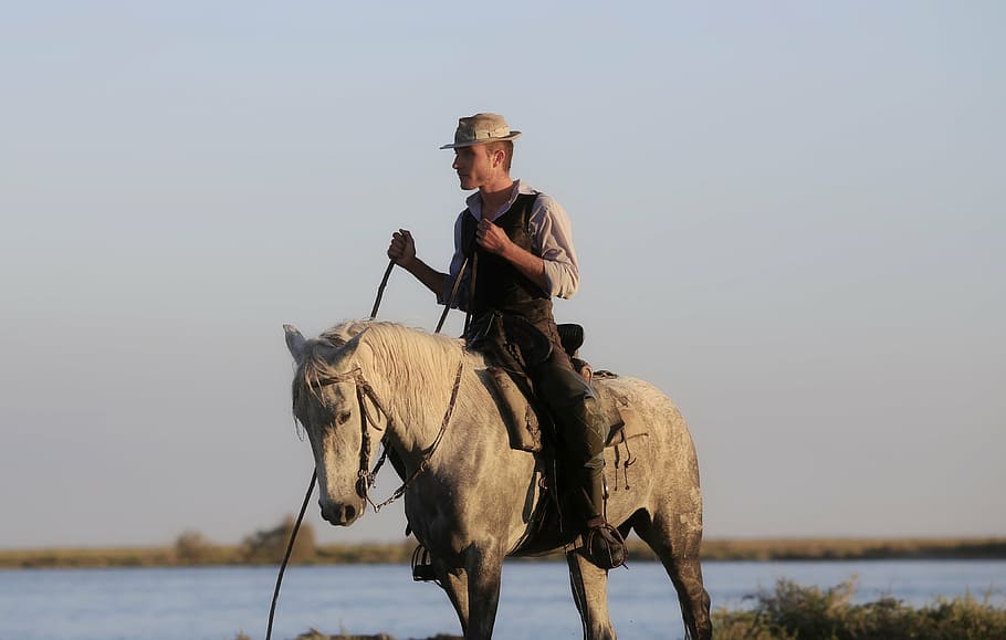 gardian, horse, horses, camargue, animal, white, hiking, animals, HD wallpaper