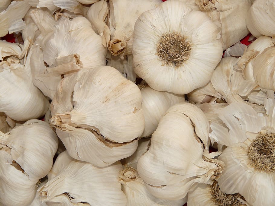 garlic, sharp, aromatic, tuber, substantial, smell, medicinal plant HD wallpaper