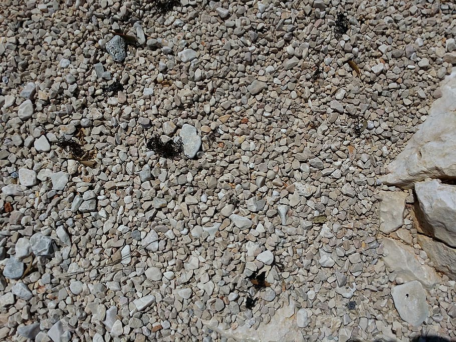 pebbles, shore, rocks, texture, stone, beach, nature, outdoor HD wallpaper