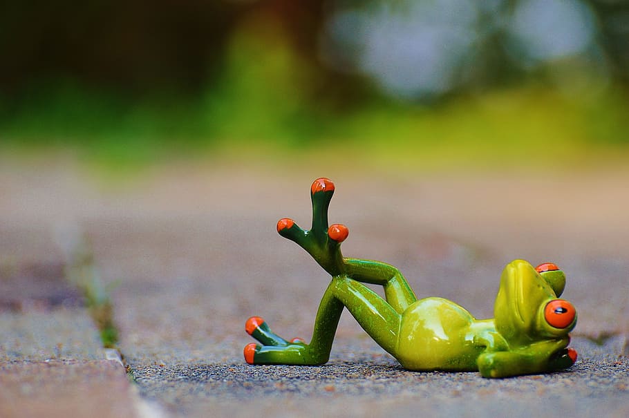 green frog on gray concrete surface, Figure, Rest, relaxed, funny