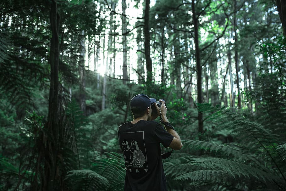 person taking photo using black camera under green leaf trees at daytime, man standing inside woods holding DSLR camera taking photo