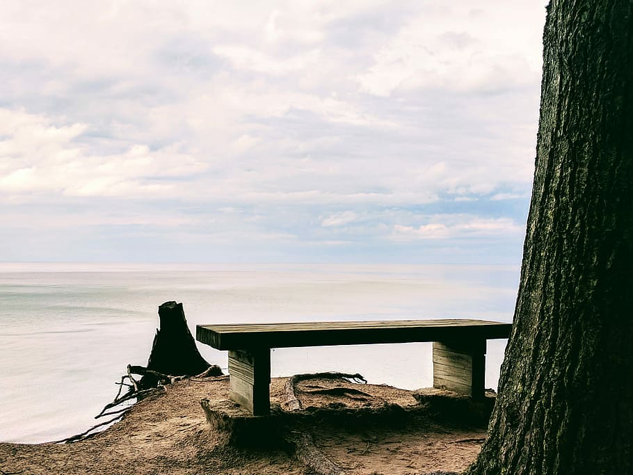 Would You Sit and Wait?, bench in front of beach, sitting, tree, HD wallpaper
