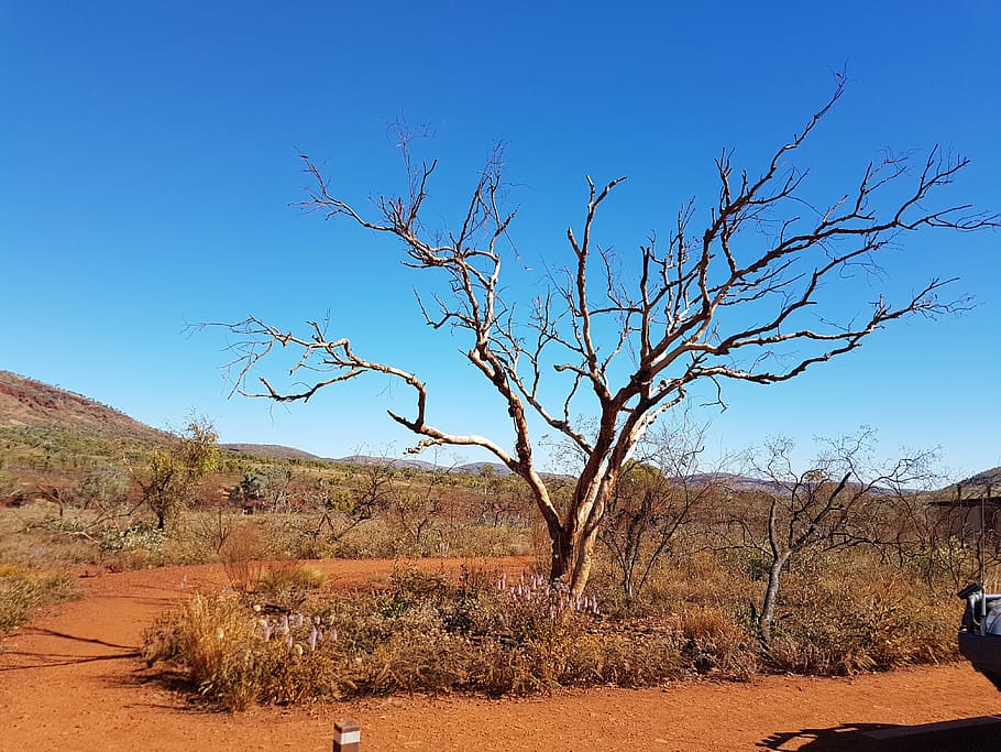 pilbara, western australia, outback, landscape, desert, tourism, HD wallpaper