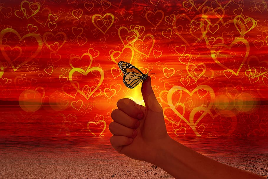 heart, love, like, thumb, butterfly, ease, wellness, affection, HD wallpaper