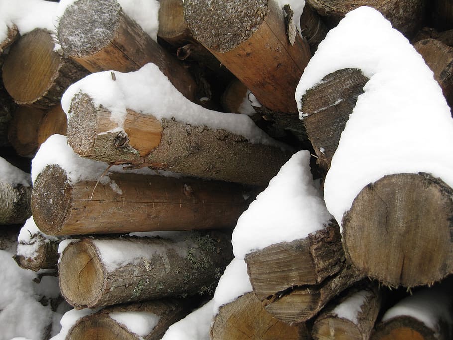 wood, logs, close up on the logs, nature, snow-covered, tree