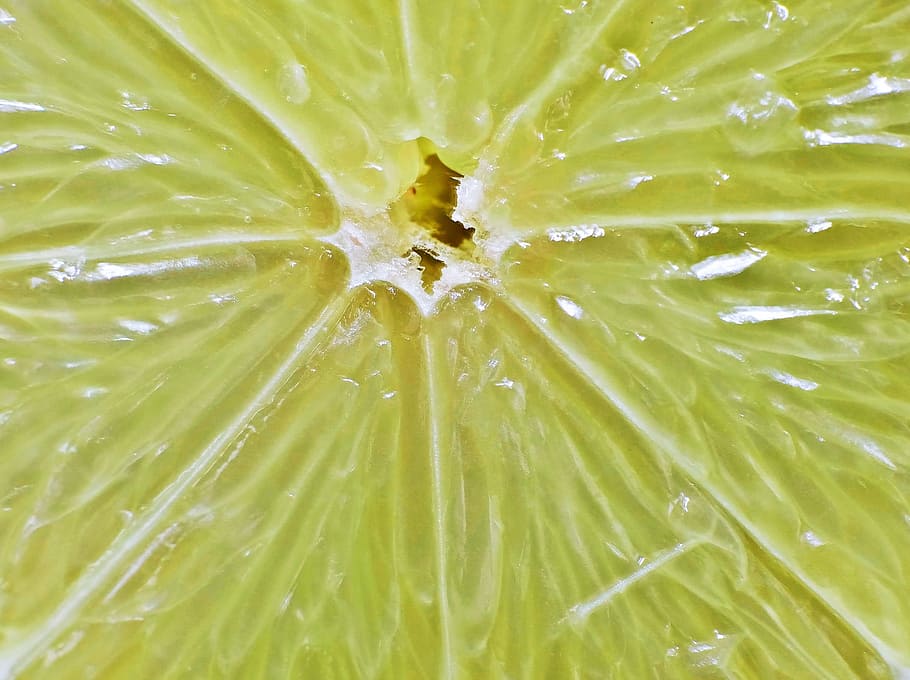 lemon, fruit, sour, vitamins, macro, close-up, backgrounds HD wallpaper