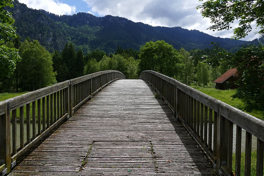 gray bridge within mountain range, web, boardwalk, alpine, nature HD wallpaper
