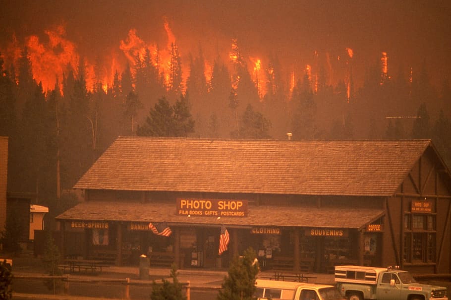 Crown fire approaches the Old Faithful complex in 1988, forest fire HD wallpaper