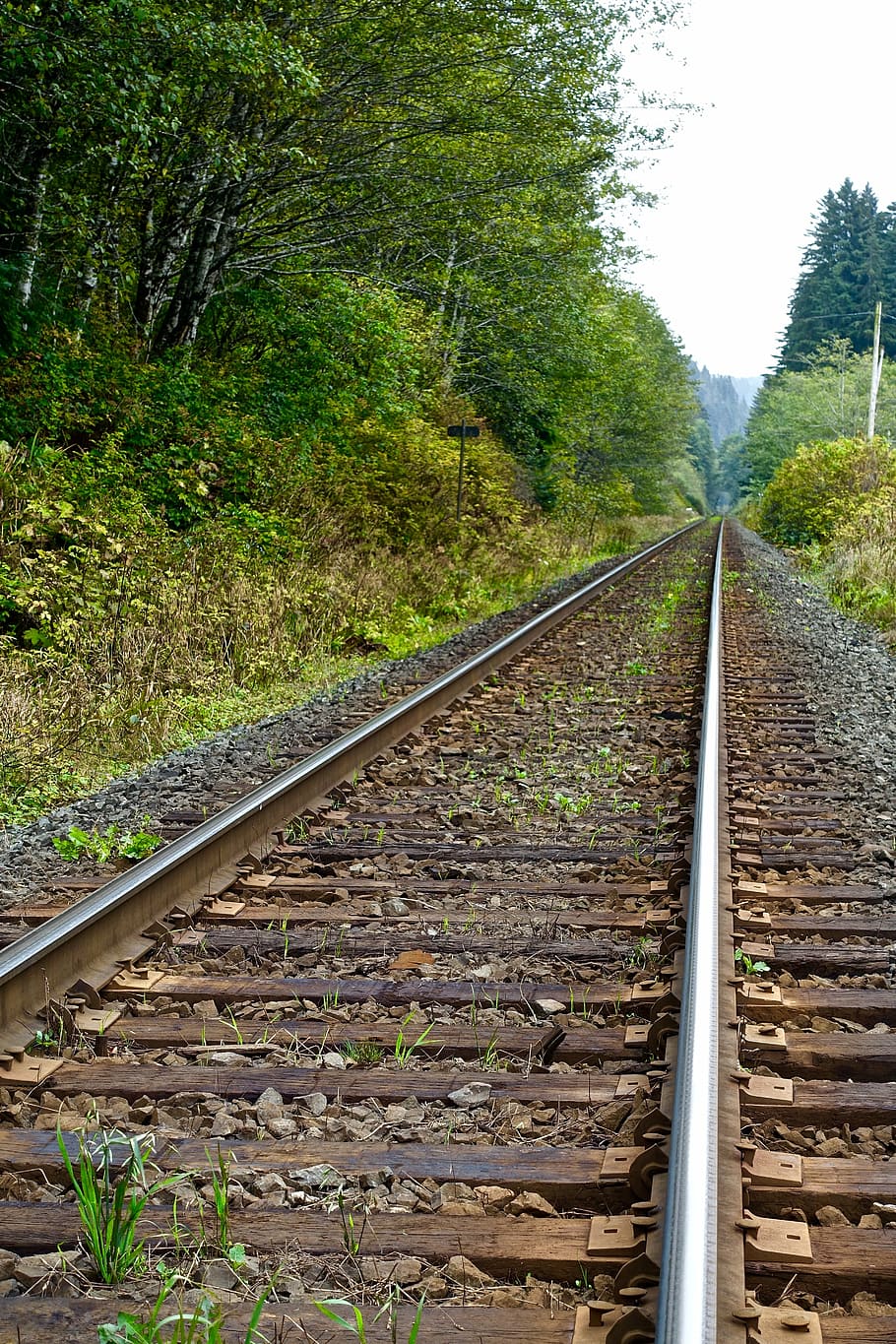 railway, perspective, distant, transport, line, railroad Track HD wallpaper