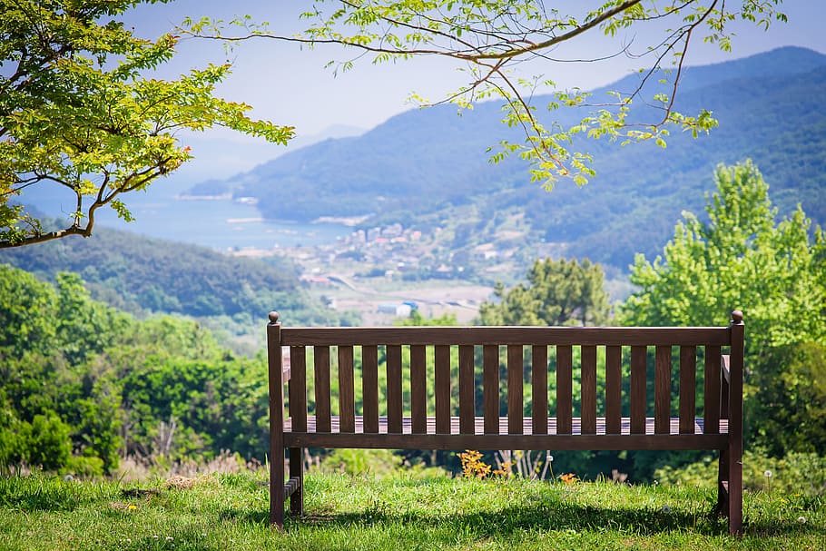 brown wooden slatted bench near green trees, Tongyeong, Nature