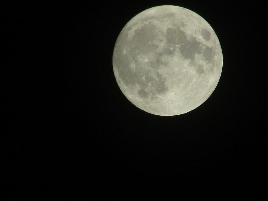 moon, full moon, night, space, astronomy, sky, beauty in nature HD wallpaper