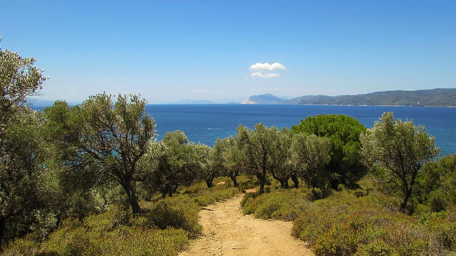 Greece, Skiathos, Nature, Path, Island, travel, sporades, mediterranean HD wallpaper