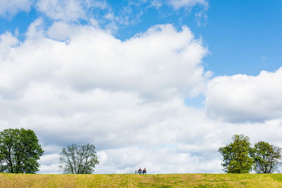two people sitting on bench between four tall green trees under white clouds during daytime, two persons sitting on bench on yellow grassfield under white clouds