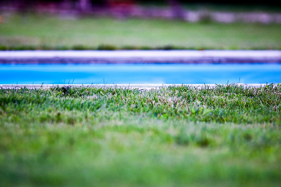 water, garden, grass, park, depth of field, ground, outdoors, HD wallpaper