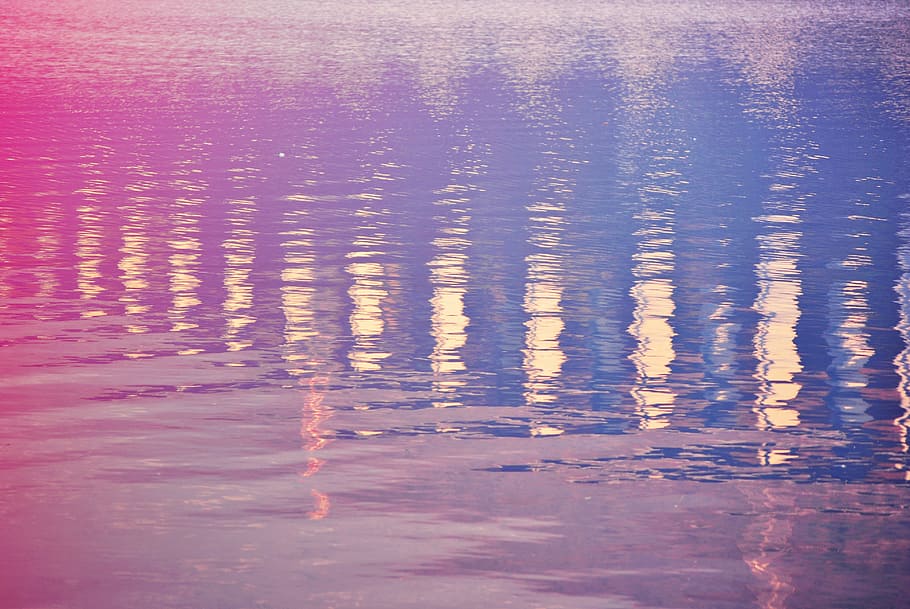 reflection, reflections, water, lake, nature, rosa, sunset HD wallpaper