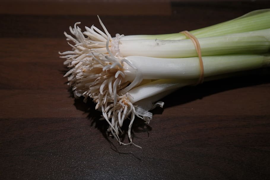 Winter, Onion, Leek, Root, Stalk, winter onion, vegetables HD wallpaper