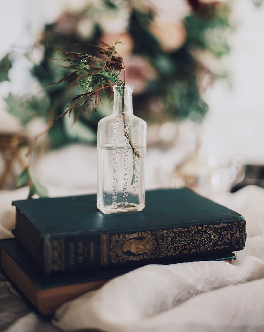 selective focus photography of green leafed plant on glass bottle, leafed plant on glass bottle filled with water on top of book during daytime