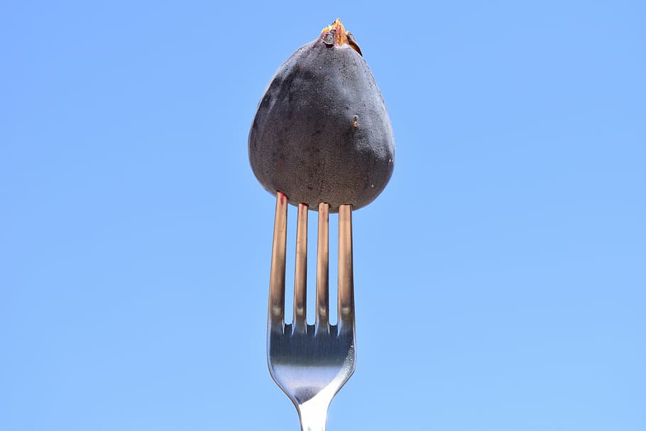 fig, fork, eat, close, metal fork, cutlery, blue, food and drink HD wallpaper