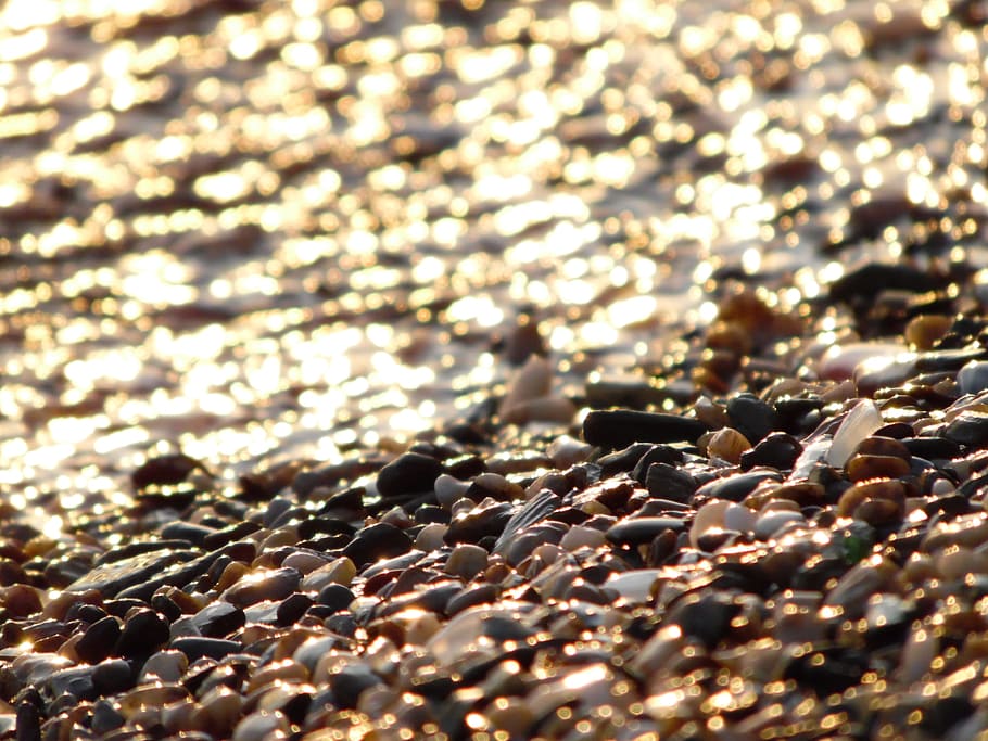 food, beach, sand, water, abstract, blur, bokeh, close-up, color HD wallpaper