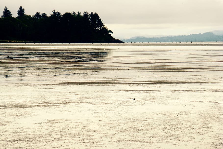 flats, tide, ocean, sand, water, sea, coast, mud, nature, coastline HD wallpaper