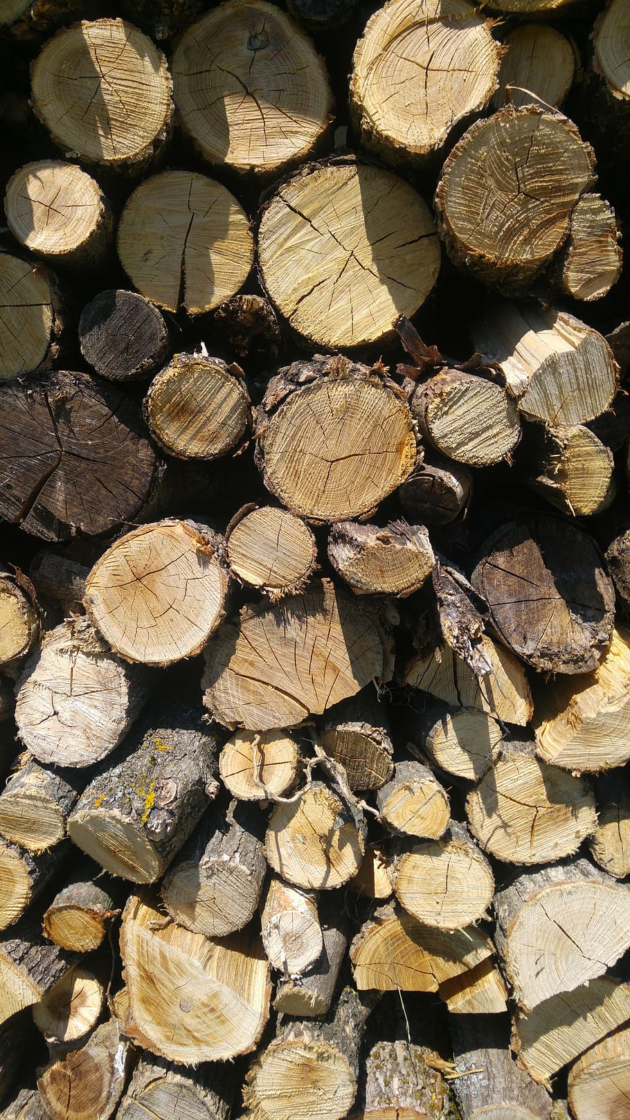 wood, fire, pile, cut, energy, light, outdoor, wood - Material