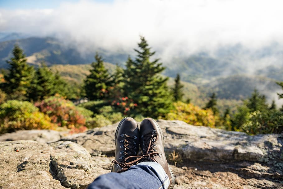 in distant green pine trees, person sitting on top of mountain HD wallpaper