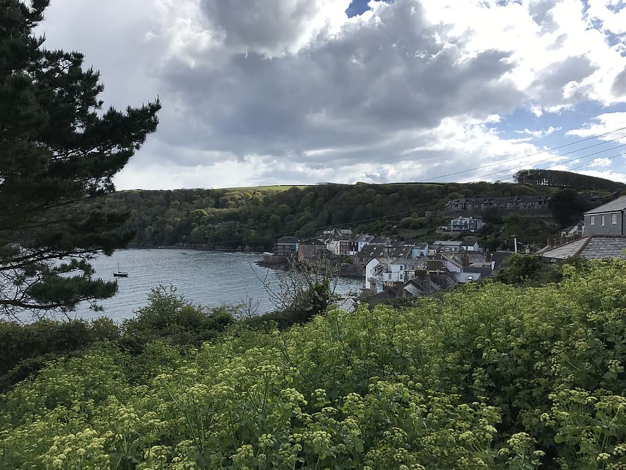 devon, cornwall, coast, england, green, landscape, architecture HD wallpaper