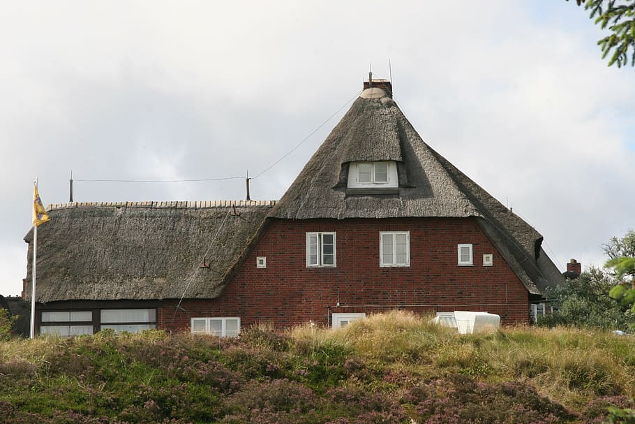 sylt, reed, building, architecture, thatched roof, building exterior HD wallpaper