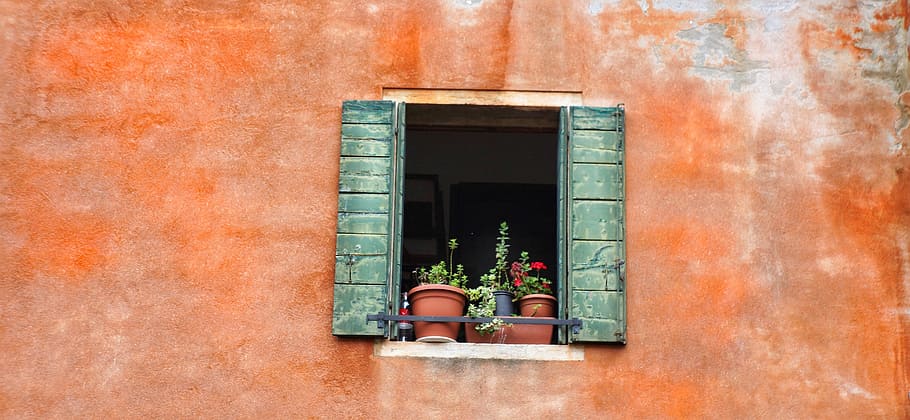 teal wooden window opened, shutters, colour, plants, will, venice HD wallpaper
