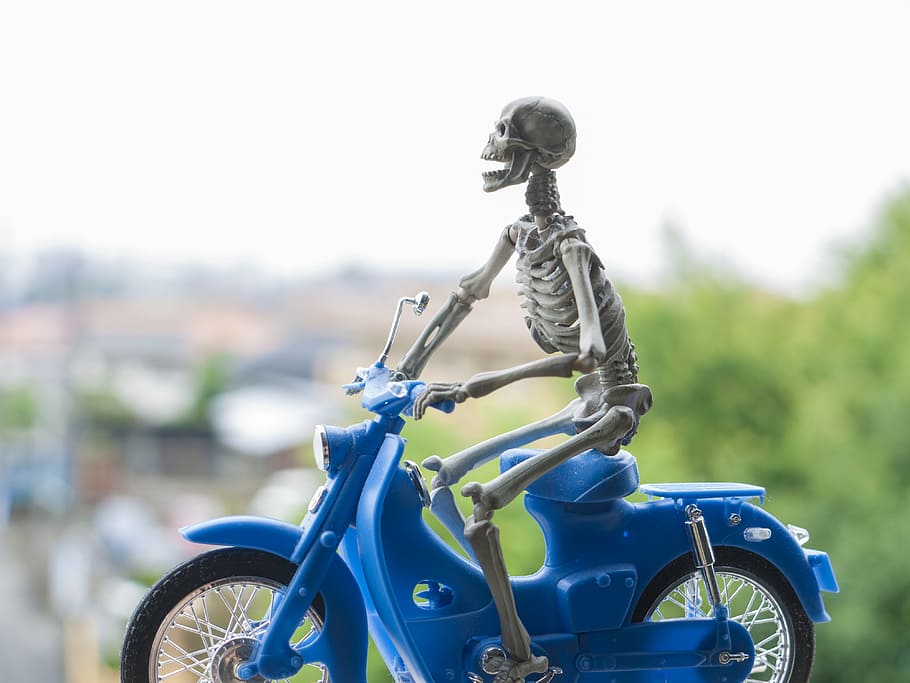 HD wallpaper: skeleton riding on motorcycle, bike, honda, cub, toys, focus  on foreground | Wallpaper Flare