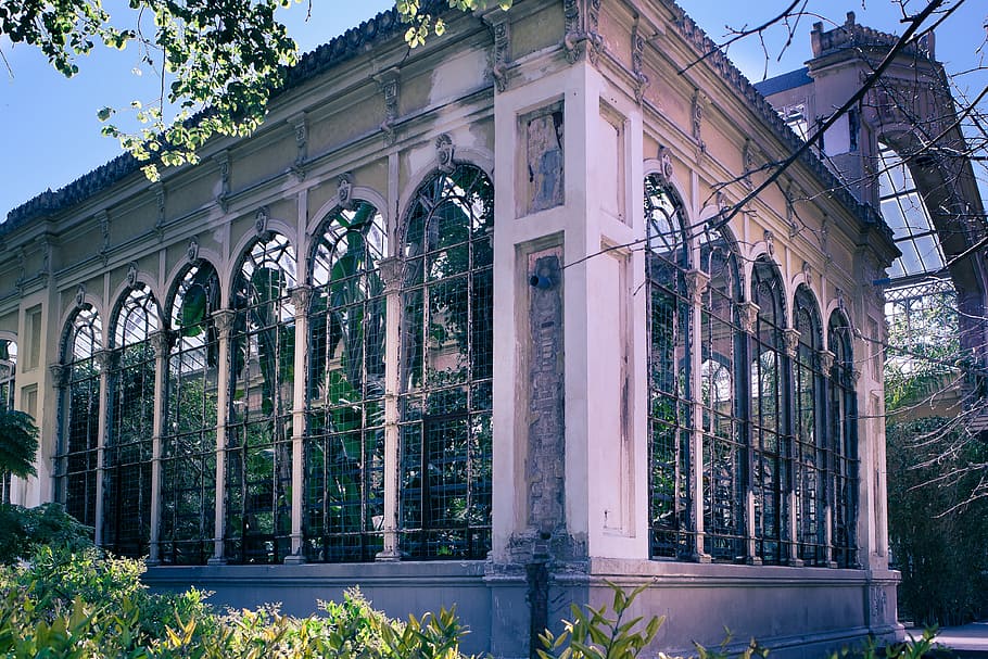 barcelona, old, architecture, plant, built structure, building exterior HD wallpaper