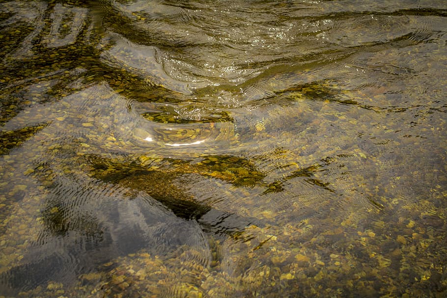 Water, Clean, Nature, River, day, no people, privacy, underwater HD wallpaper