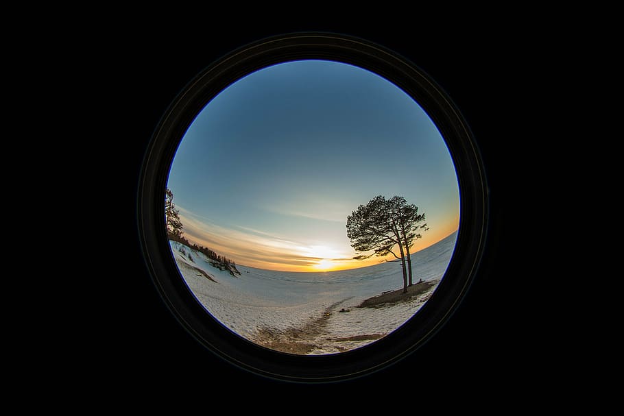 tree, trees, sunset, sky, clouds, sea, ice, snow, old tree HD wallpaper