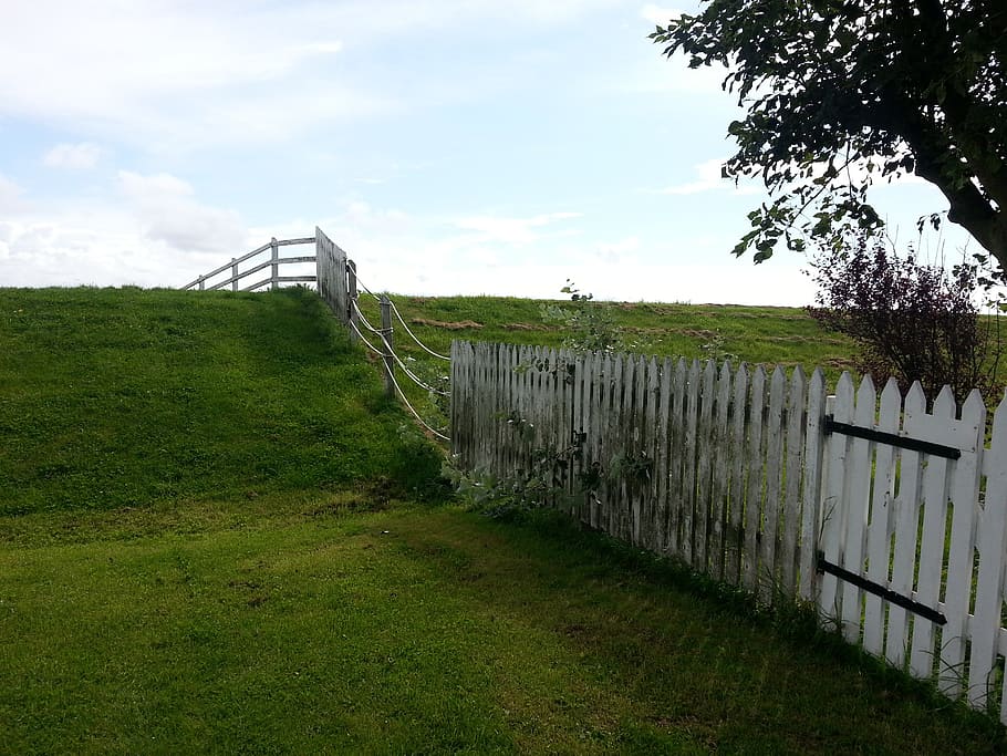 fence, meadow, idyll, terp, hallig hooge, friesland, landscape, HD wallpaper