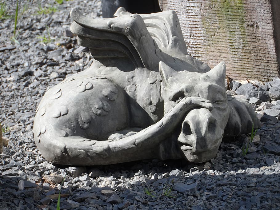 gray dragon statue, sculpture, stone, horticulture, outside art