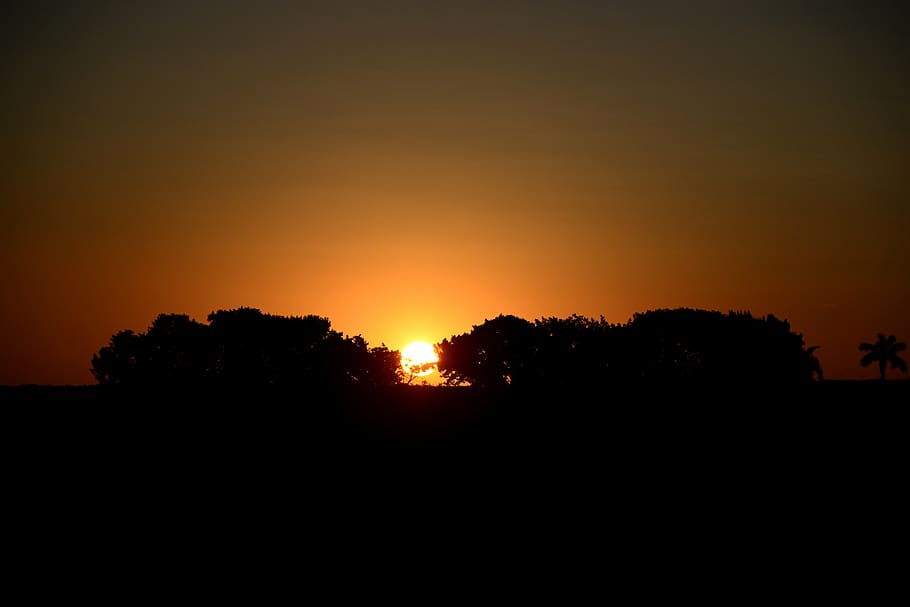 sunset, silhouette, horizon, sol, landscape, tree, afternoon HD wallpaper