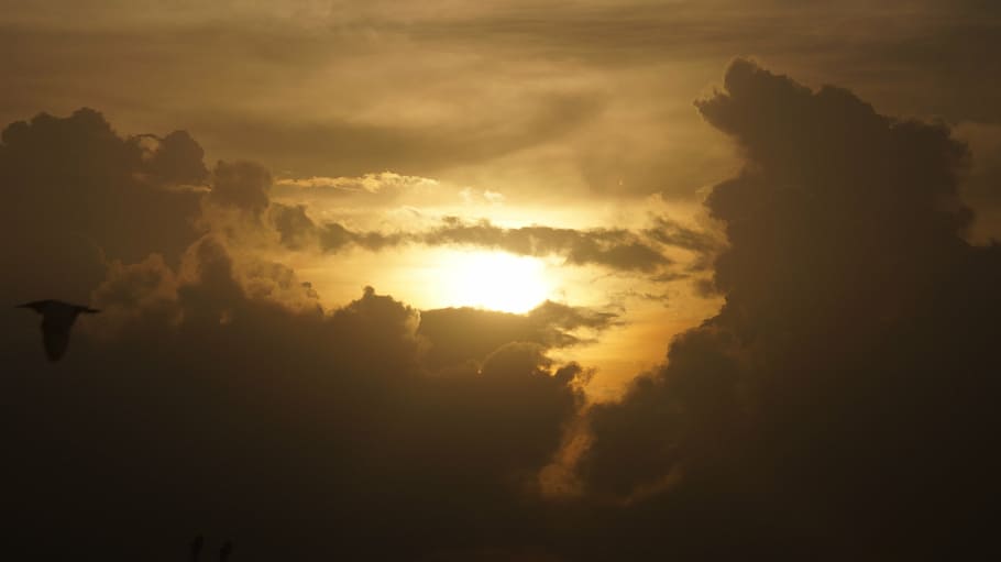 nature, sun, clouds, sunset, cloud - Sky, cloudscape, weather HD wallpaper