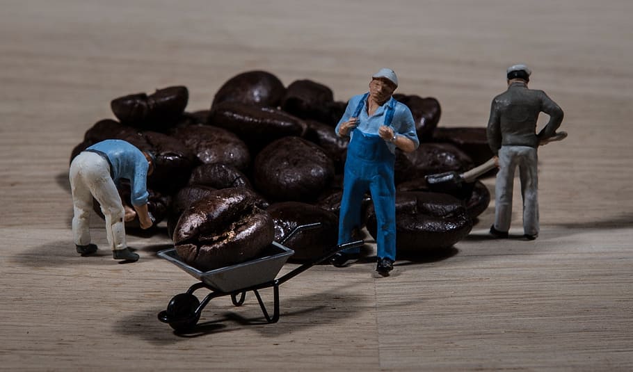 brown coffee beans, worker, café, wheelbarrow, thumbnails HD wallpaper