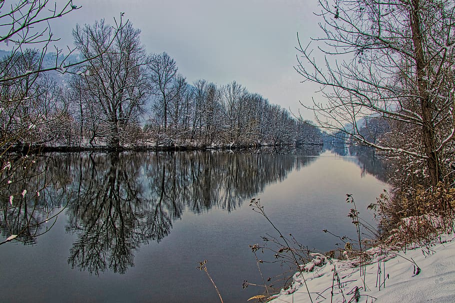 winter, nature, tree, landscape, reflection, water, lake, tranquility HD wallpaper
