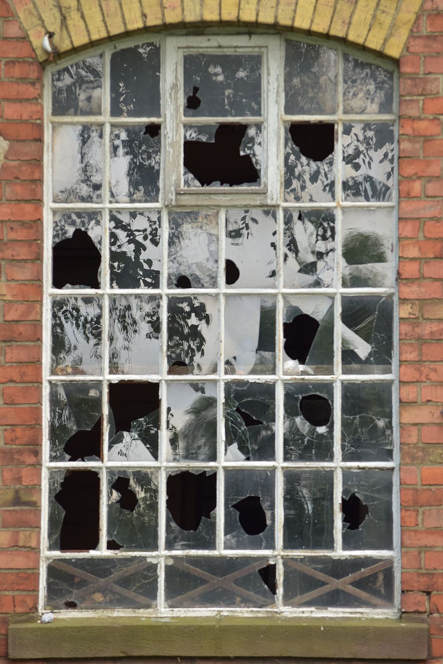 factory, window, old, ruin, building, lapsed, abandoned, broken HD wallpaper