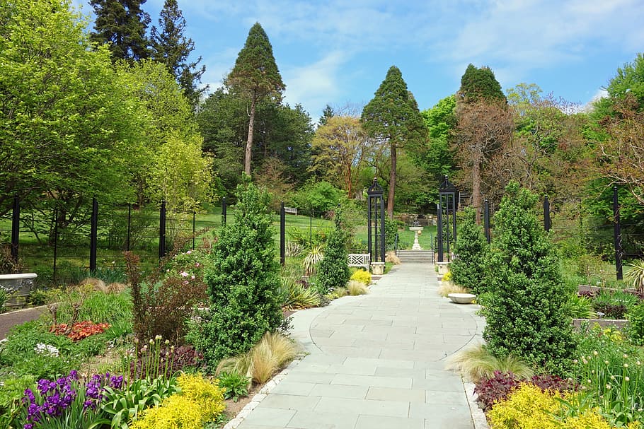 garden, morris arboretum, philadelphia, pennsylvania, plants, HD wallpaper